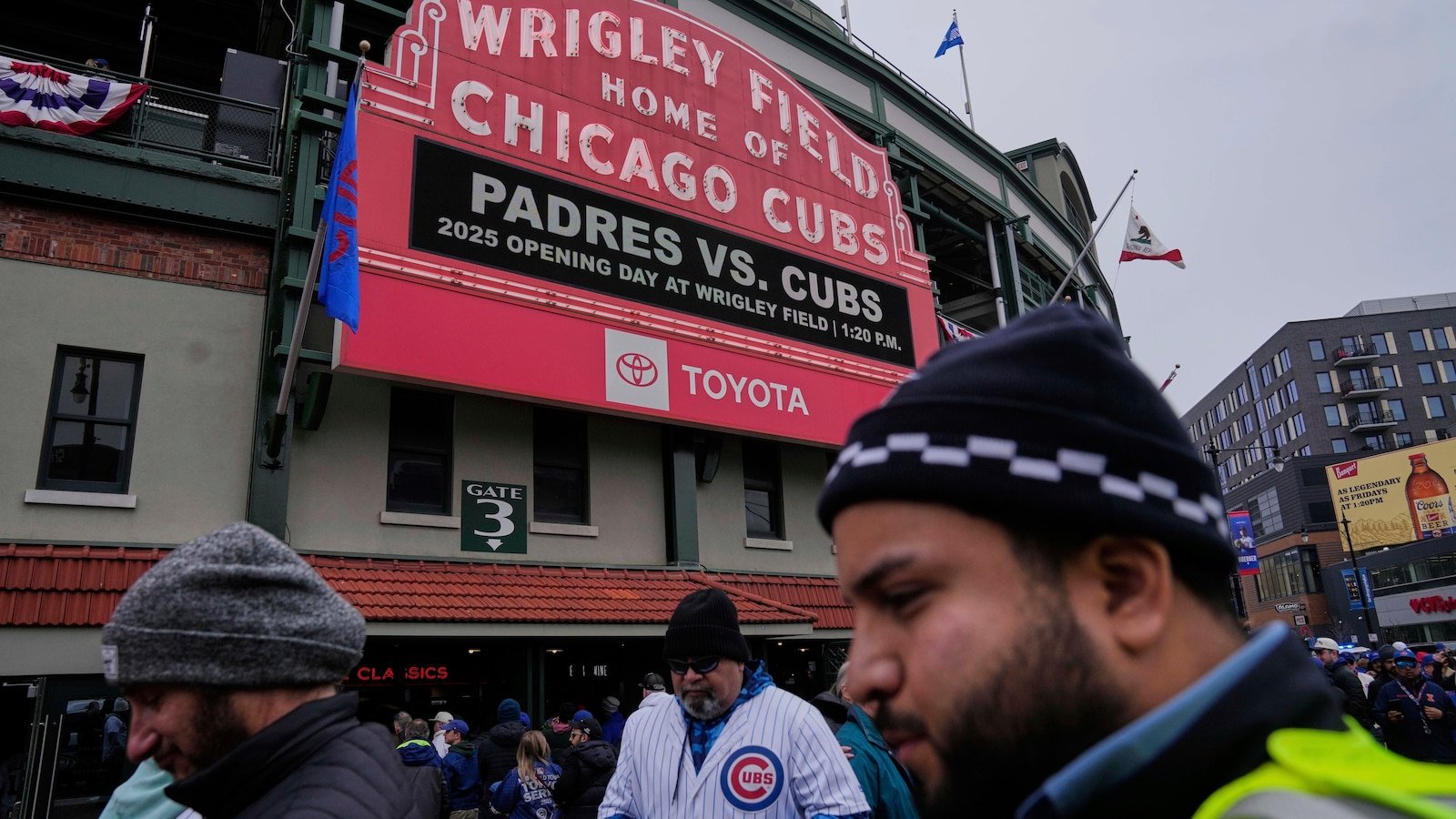 शिकागो शावक खेलों के दौरान प्रतिष्ठित Wrigley फील्ड ब्लीचर्स के बगल में गीज़ नेस्ट बनाते हैं