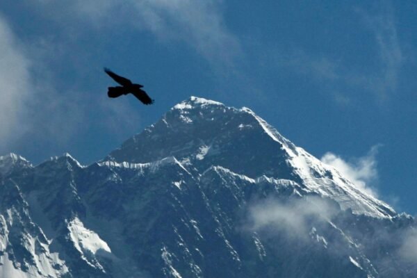 अभियान आयोजकों का कहना है कि माउंट एवरेस्ट पर 2 पर्वतारोही की मृत्यु हो गई है अभियान आयोजकों का कहना है कि माउंट एवरेस्ट पर 2 पर्वतारोही की मृत्यु हो गई है